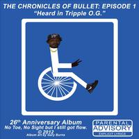 The Chronicles of Bullet: Episode 1