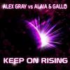 Alex Gray - Keep on Rising (Rolvario Remix)