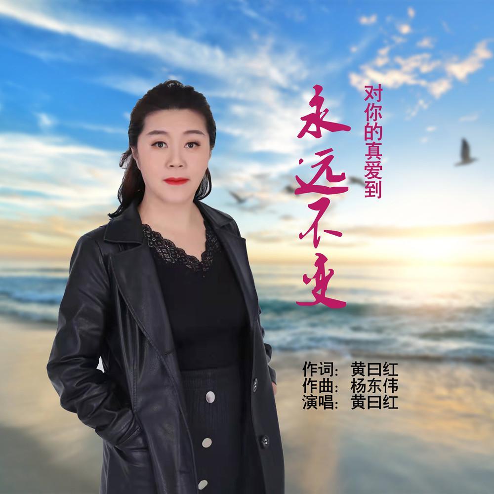 对你的真爱到永远不变封面