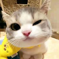 冬眠