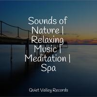 Sounds of Nature | Relaxing Music | Meditation | Spa