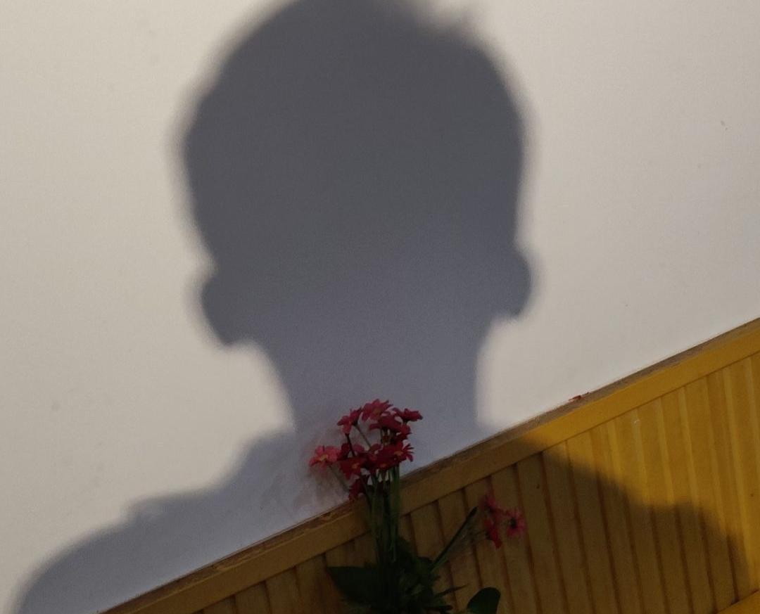 魏森