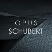 Opus Schubert