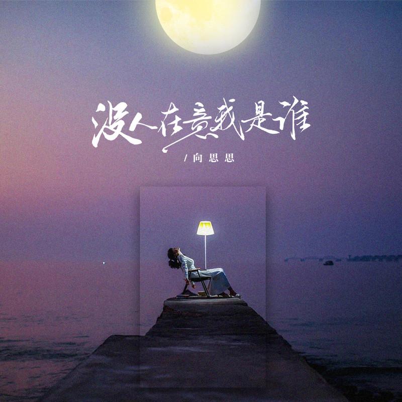 没人在意我是谁 (live合唱版伴奏) - 向思思封面