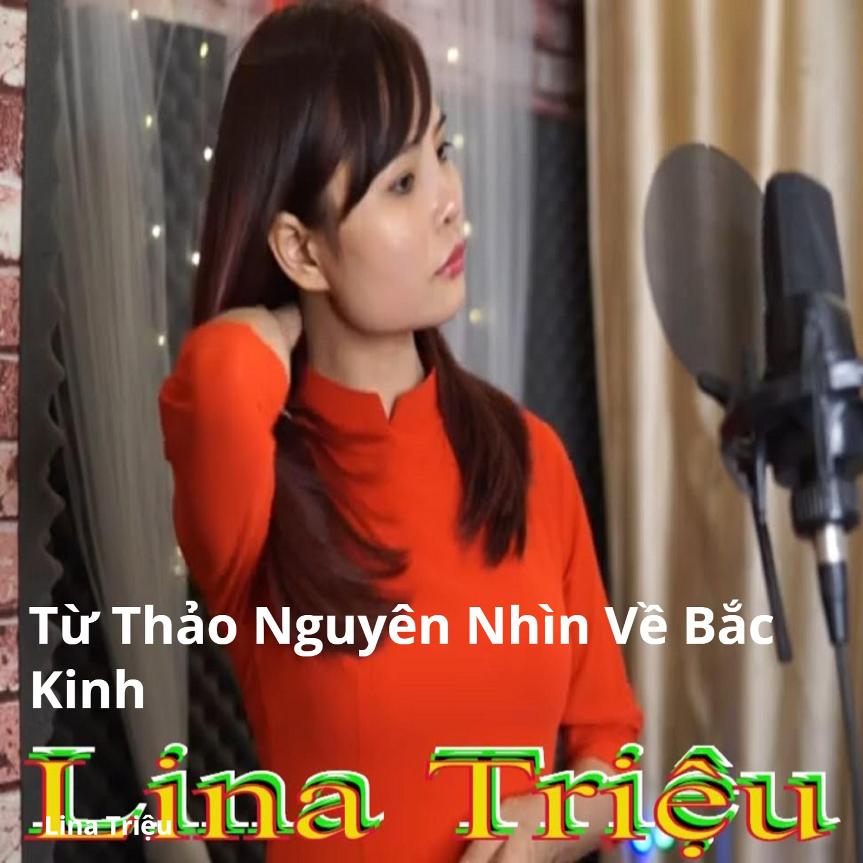 Từ Thảo Nguyên Nhìn Về Bắc Kinh封面