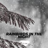 Rainbirds In The Night