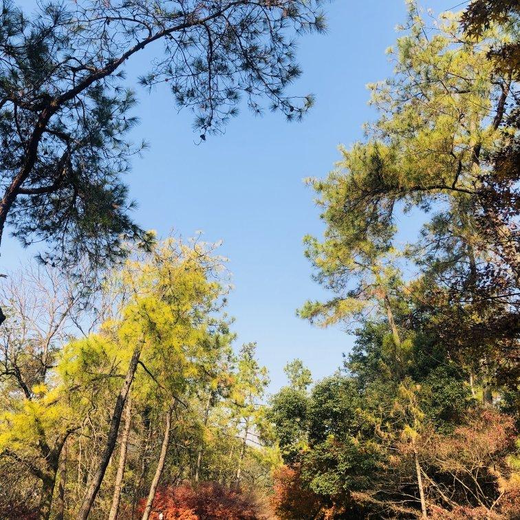 【每一首都是一个故事】旅行看书必不可少