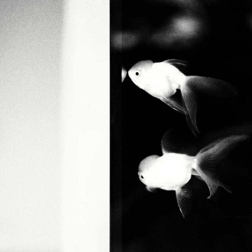 歌单: Feeeleven合集