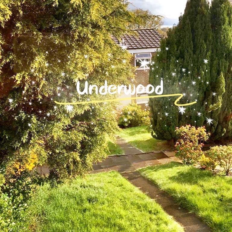 Underwood_栗子不二橙_Underwood | 在线播放_Underwood歌词_Underwood下载 | 网易云音乐