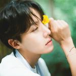 韩国抒情男声 • 拨动的心弦，在深情中沦陷