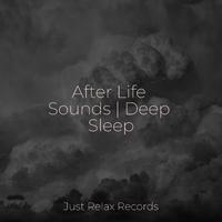 After Life Sounds | Deep Sleep