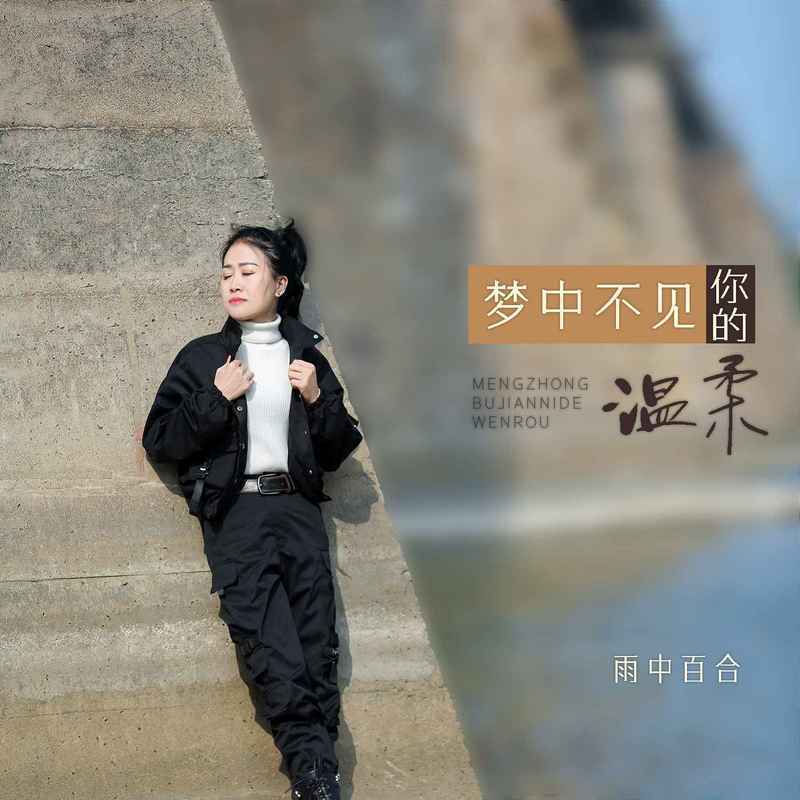 梦中不见你的温柔 (DJ默涵版)封面