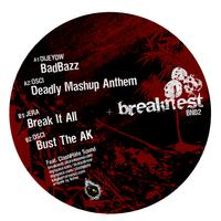 Breaknest Records 02