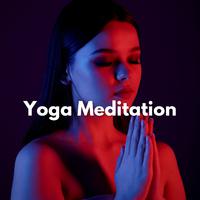 Yoga Meditation