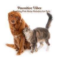 Pawsitive Vibes: Soothing Pink Noise Melodies for Pets