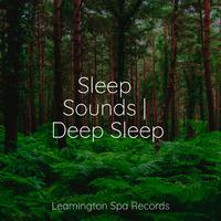 Sleep Sounds | Deep Sleep