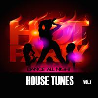 Hot Party House Tunes, Vol. 1