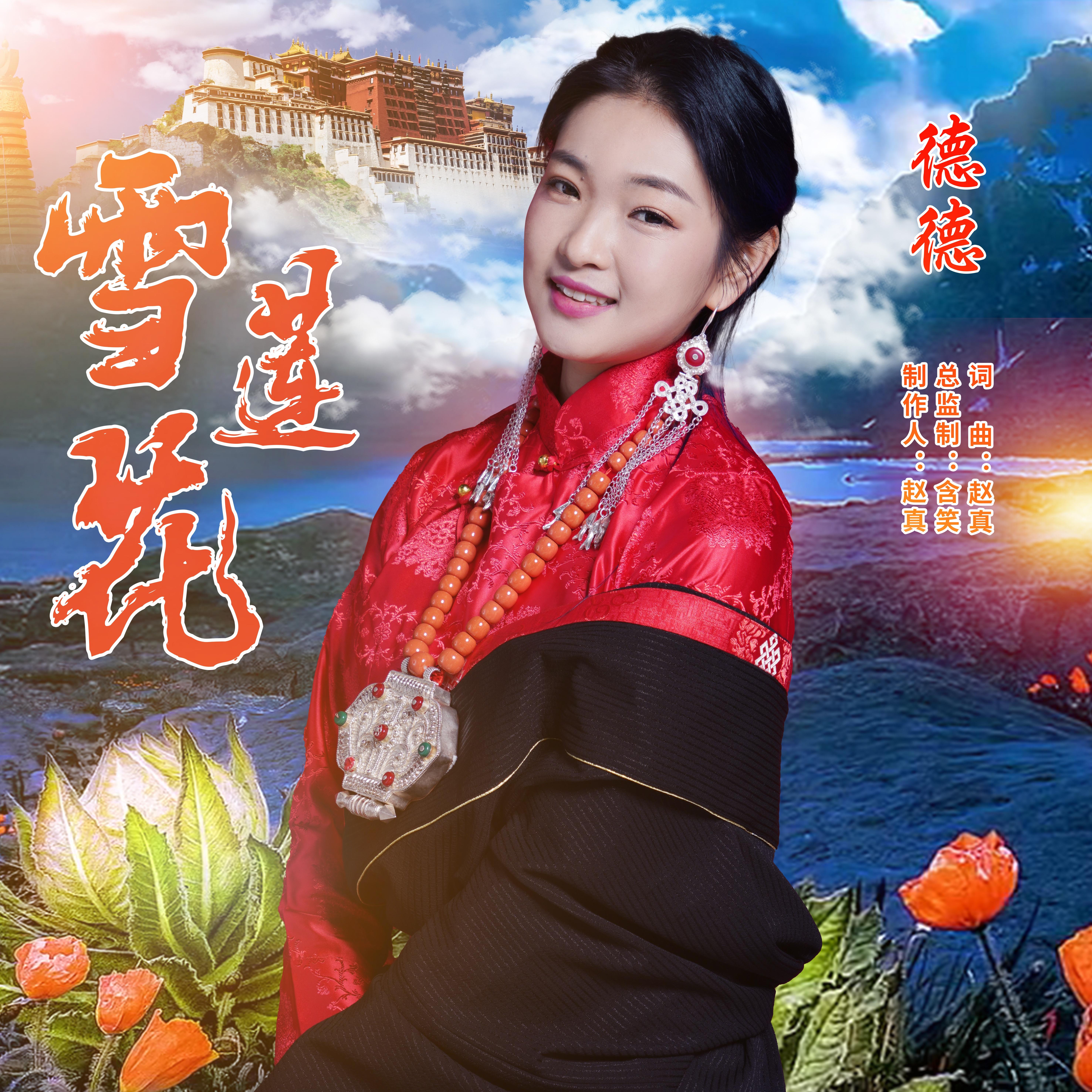 雪莲花 (DJ版)封面