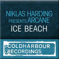 Ice Beach
