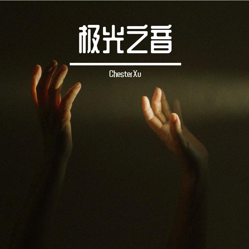 飞鸟的羽翼挥洒着自由封面