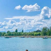 东七七 - 爱隆奇花