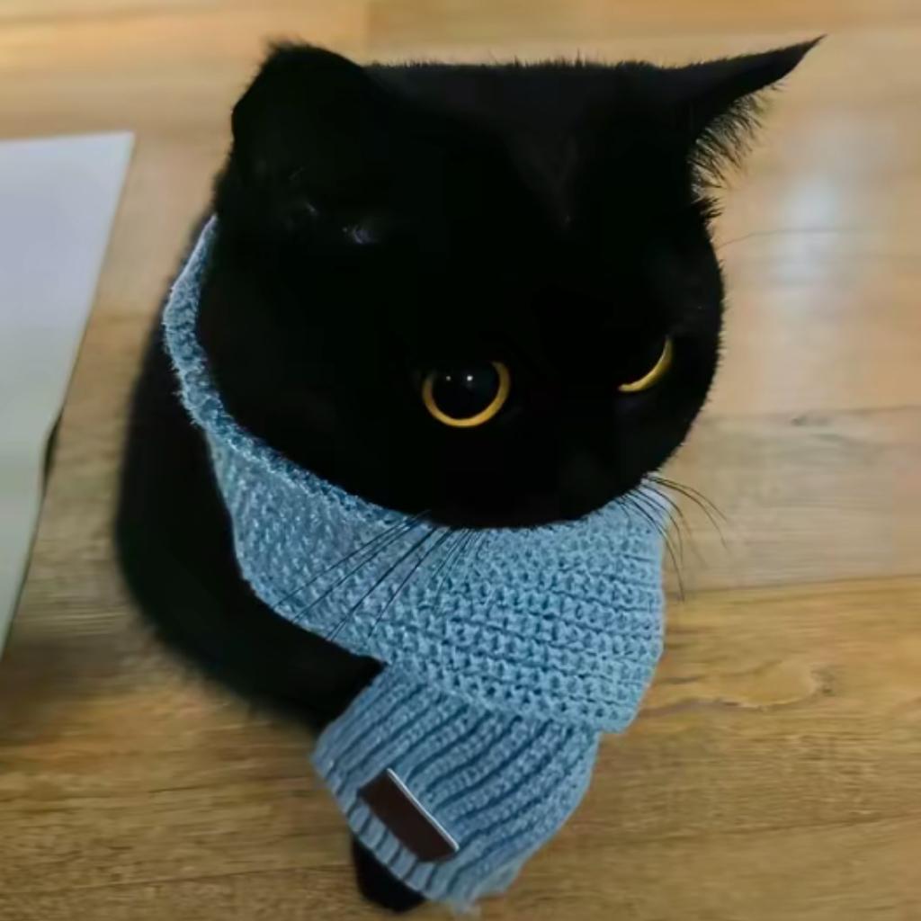 我需要绝对冷静