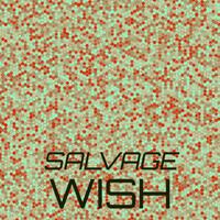 Salvage Wish