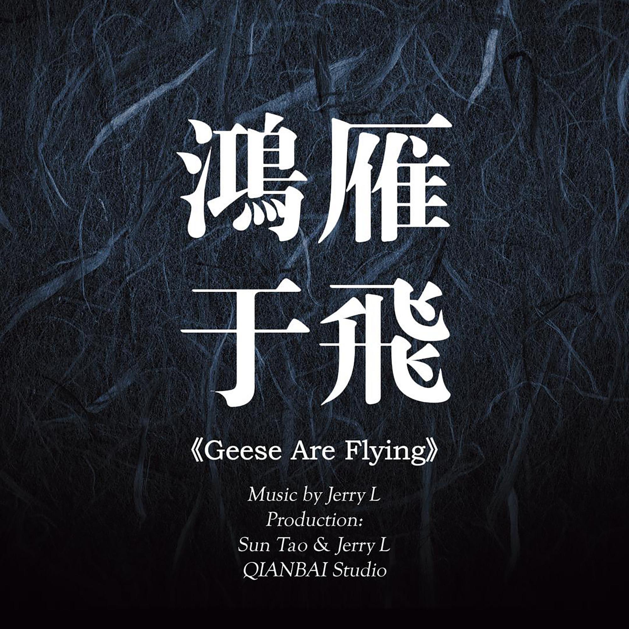 鸿雁于飞封面