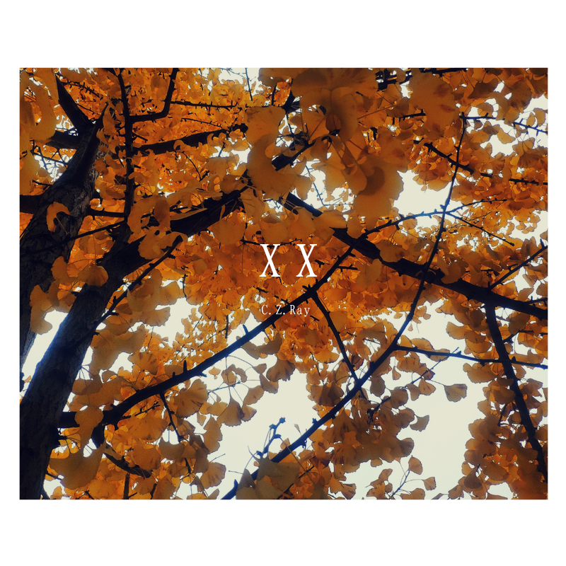 晚安，小唐老师