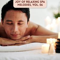 Joy of Relaxing Spa Melodies, Vol. 06