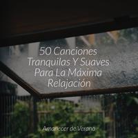 50 Canciones Tranquilas Y Suaves Para La Máxima Relajación