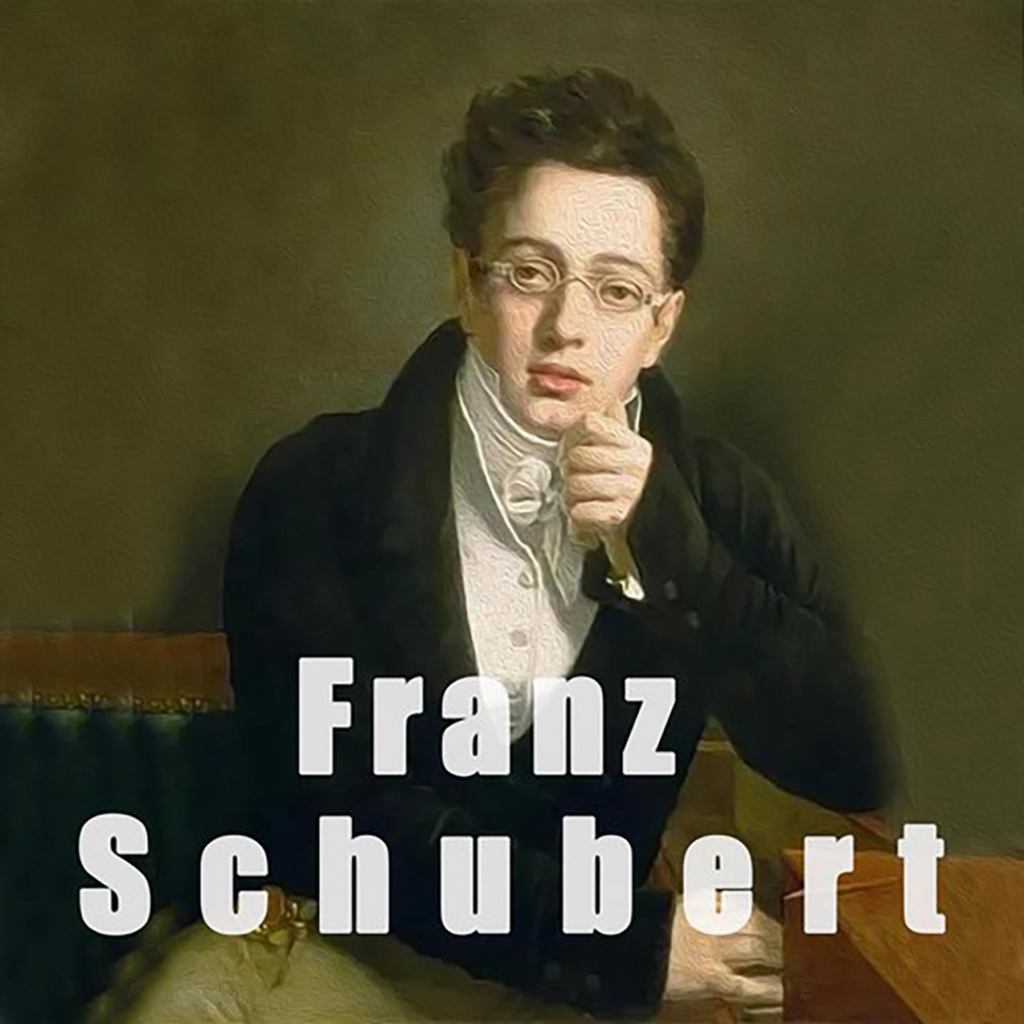 舒伯特 音乐瞬间