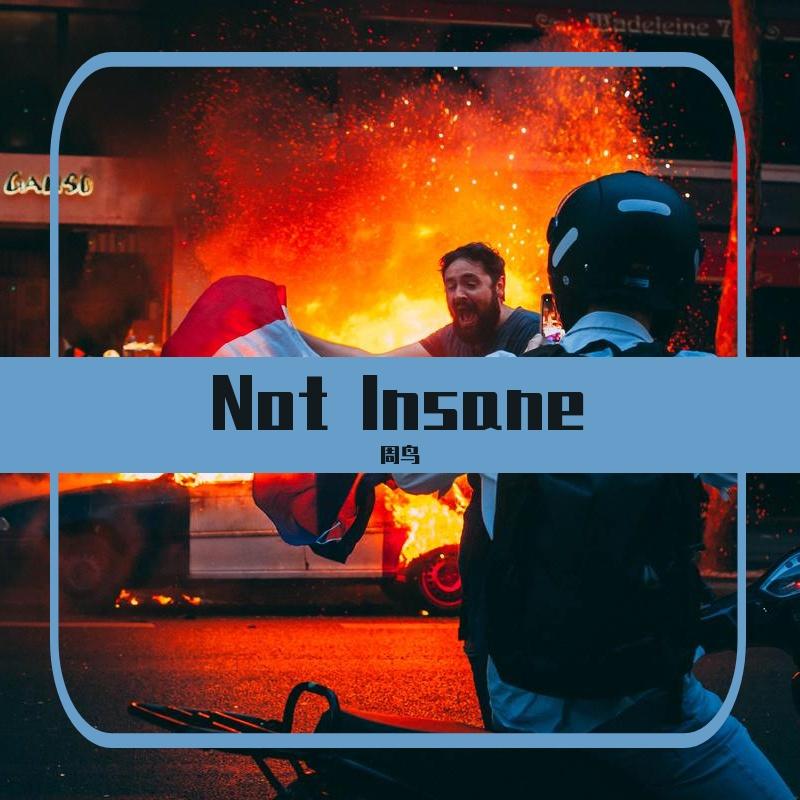 《Not Insane》封面