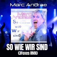 So wie wir sind (3Foxes Remix)