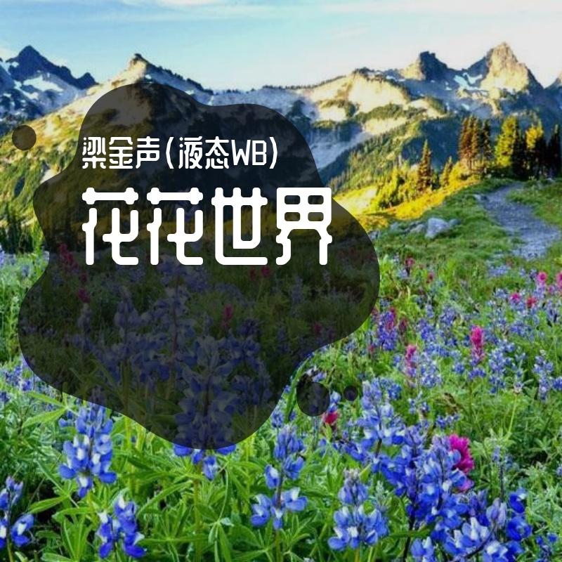 身后（伴奏） - 梁金声封面