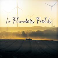 In Flanders Fields