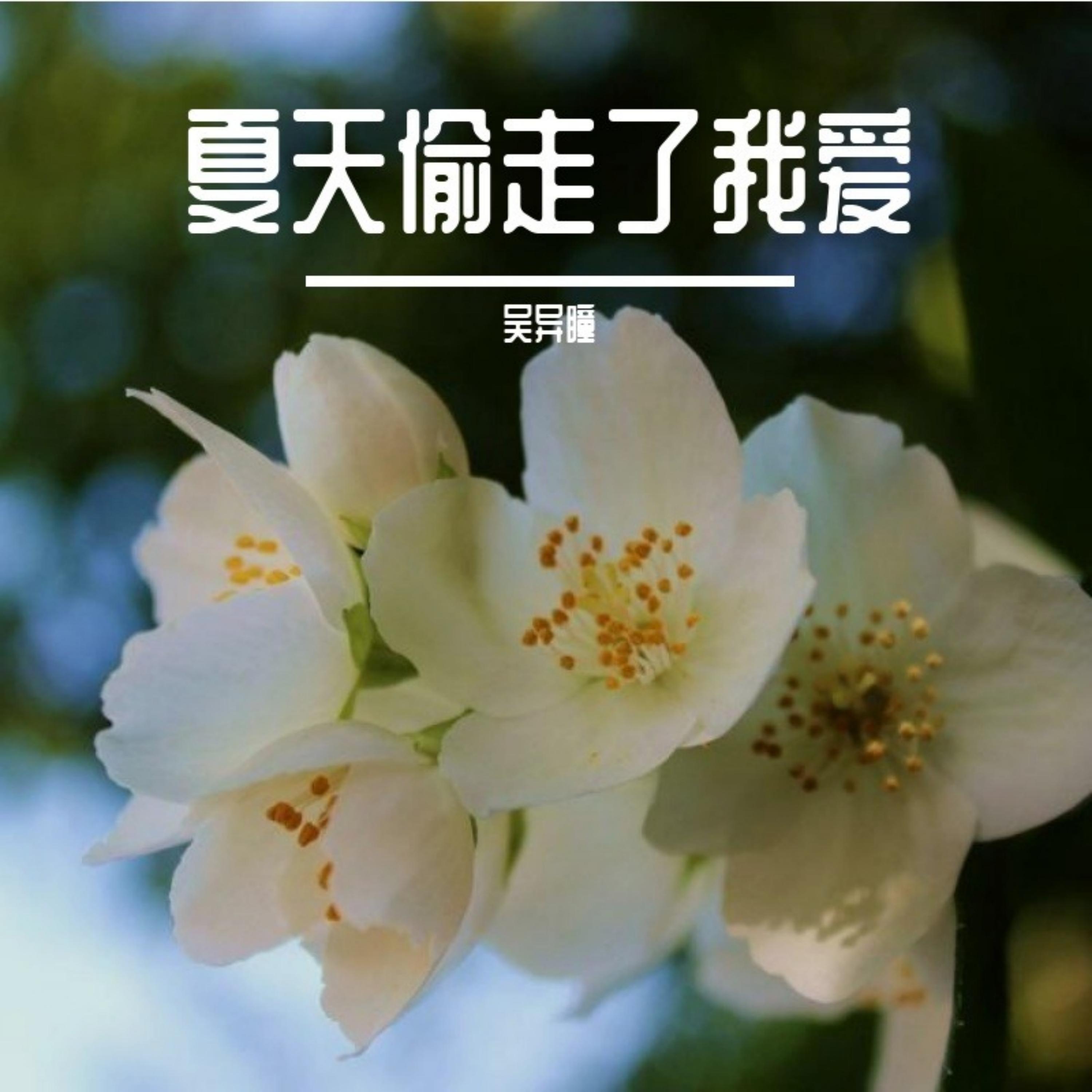 把寂寞当做晚餐封面