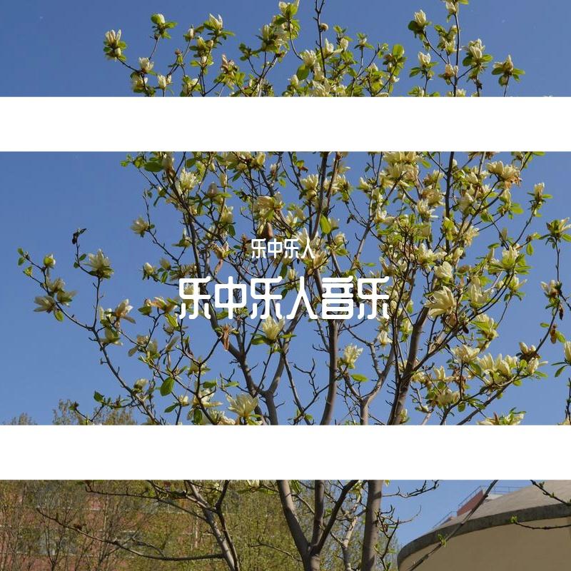 春天的呐喊封面