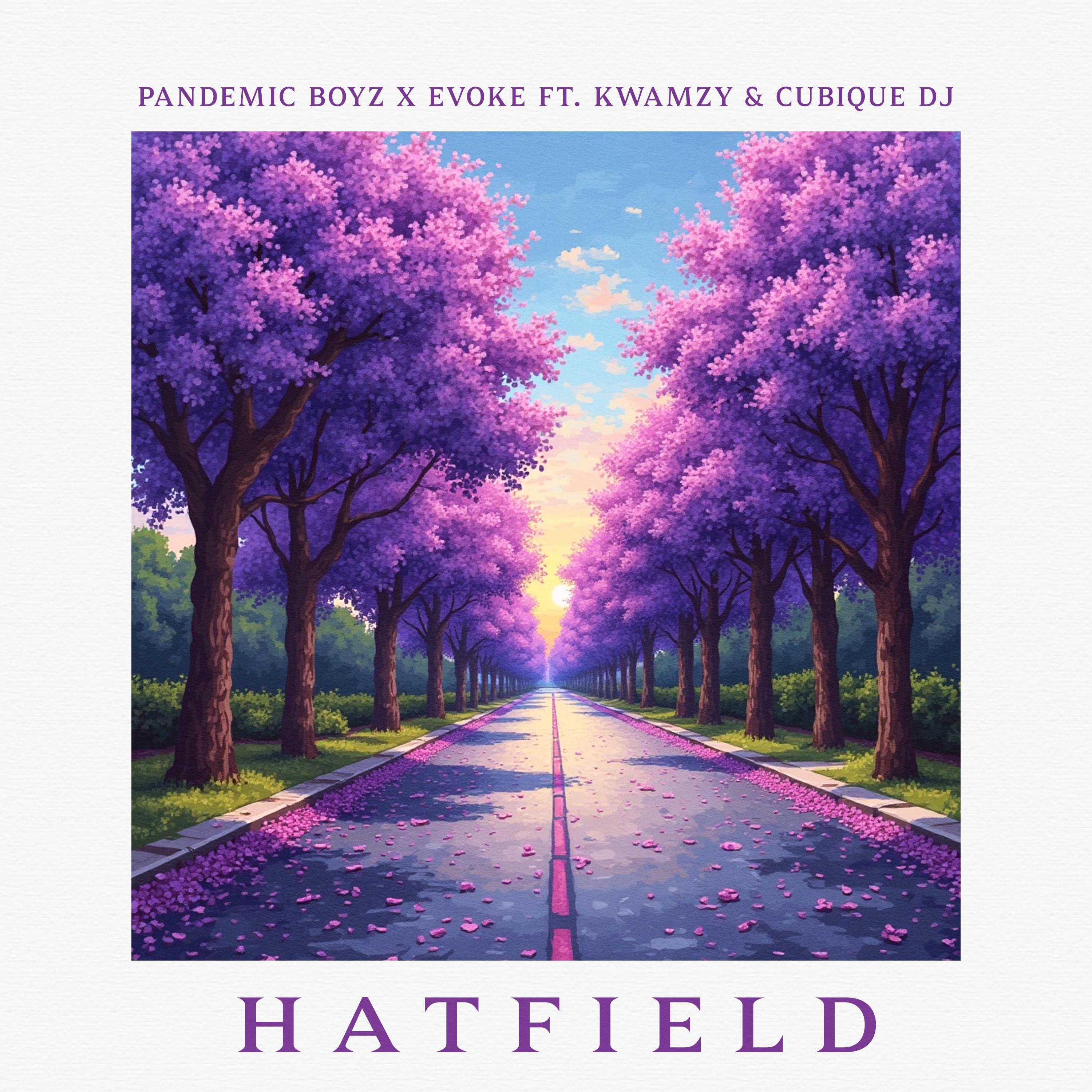 Hatfield (feat. Kwamzy & Cubique DJ)