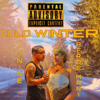 Cold Winter (feat. Afroe Mani)