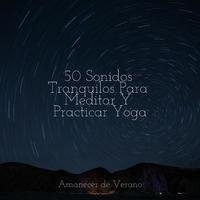 50 Sonidos Tranquilos Para Meditar Y Practicar Yoga