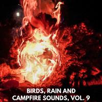 Birds, Rain and Campfire Sounds, Vol. 9