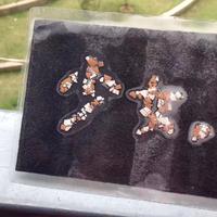 jjjessica棠殊资料,jjjessica棠殊最新歌曲,jjjessica棠殊MV视频,jjjessica棠殊音乐专辑,jjjessica棠殊好听的歌