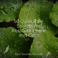 50 Quiet Rain Sounds for Absolute Peace and Calm