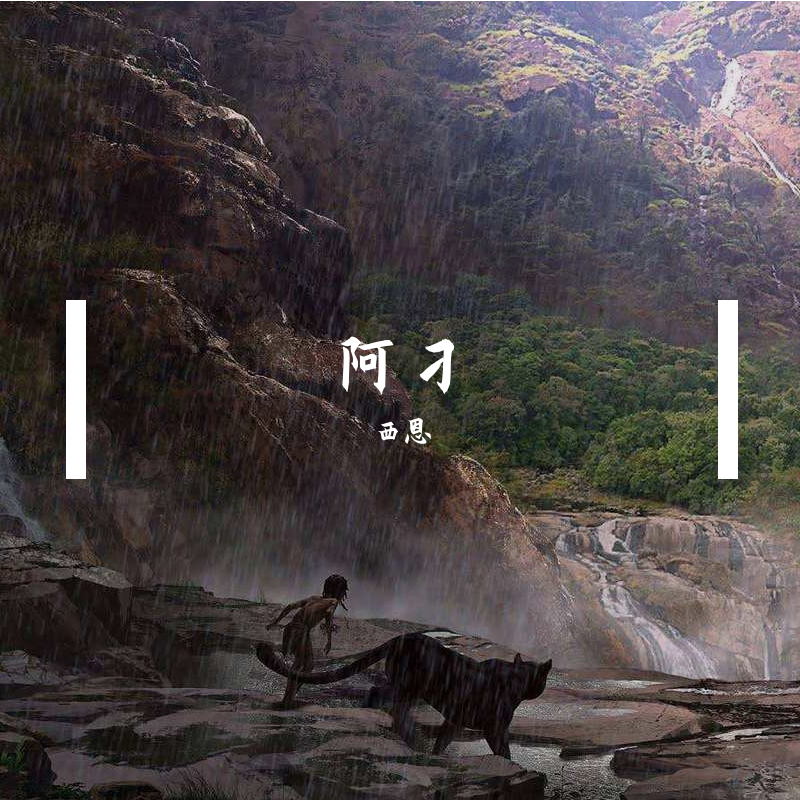 阿刁封面