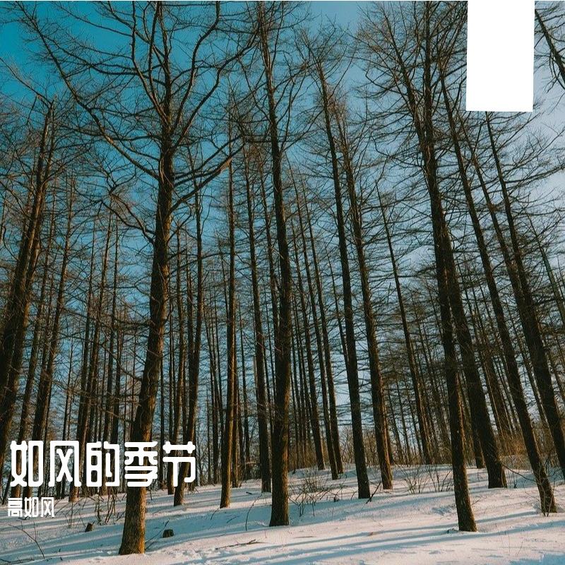 爱在阴雨季无限循环 - 高如风封面