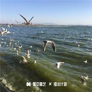 翻脸不认人专辑