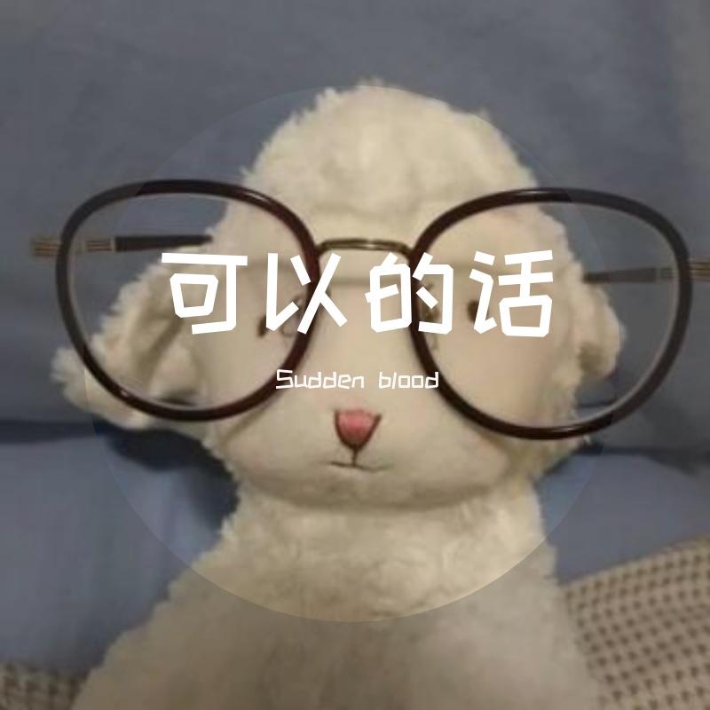 不硕封面