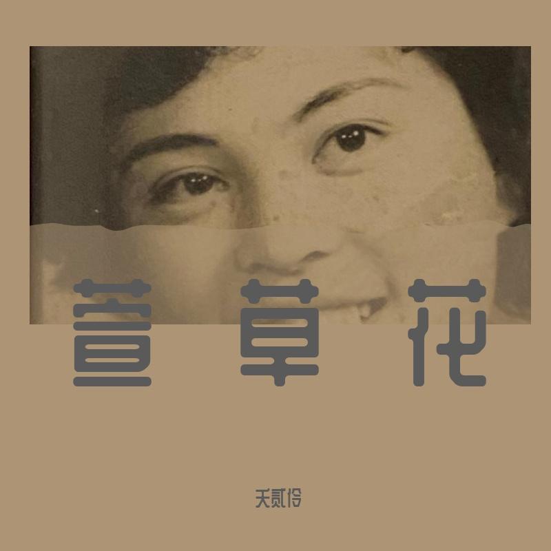 萱草花封面