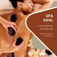 Spa Soul - Calm, Dreamy And Mellow Music For Relaxation And Reflextion, Vol. 21